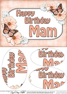 A5 Birthday Mam Butterflies & Flowers Oval Pyramage Topper