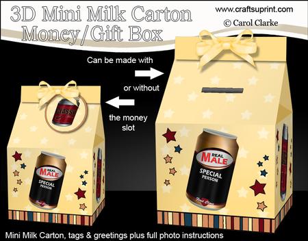 3D Beer Cans Milk Carton Money or Treat Box Mini Kit