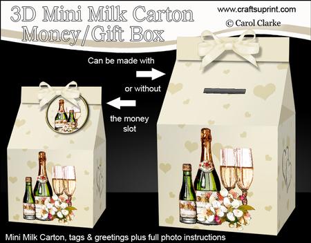 3D Champagne & Flowers Carton Money or Treat Box Mini Kit
