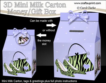 3D Shoes & Handbags Milk Carton Money or Treat Box Mini Kit
