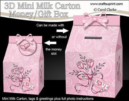3D Love & Romance Milk Carton Money or Treat Box Mini Kit
