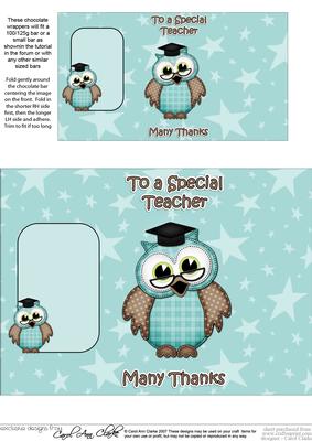 Hoot Wise Owl Thank You Teacher Chocolate Wrapper
