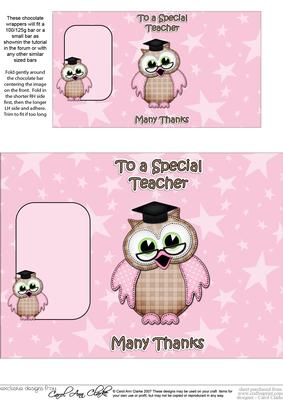 Hoot Wise Owl Thank You Teacher Chocolate Wrapper