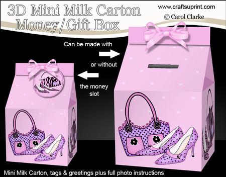 3D Shoes & Handbags Milk Carton Money or Treat Box Mini Kit
