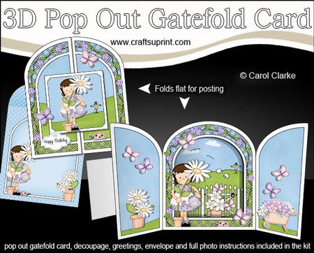 3D Girlz Liz's Flower Pop Out Gatefold Card Kit
