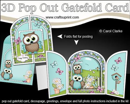 3D Hoot & Little Hoot Owls Pop Out Gatefold Card Kit