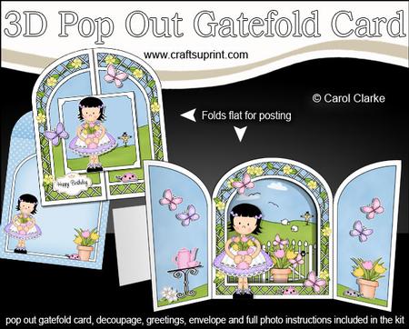 3D Girlz Suzi's Flowers Pop Out Gatefold Card Kit