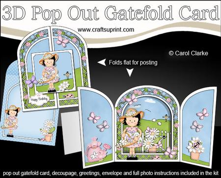3D Girlz Suzi's Flower Basket Pop Out Gatefold Card Kit