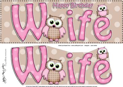 Large Dl Birthday Wife Owls Quick Card N 3D Decoupage