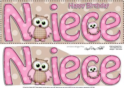 Large Dl Birthday Niece Owls Quick Card N 3D Decoupage