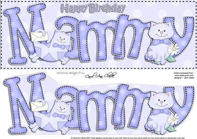 Large Dl Birthday Mammy Cat Card & 3D Decoupage