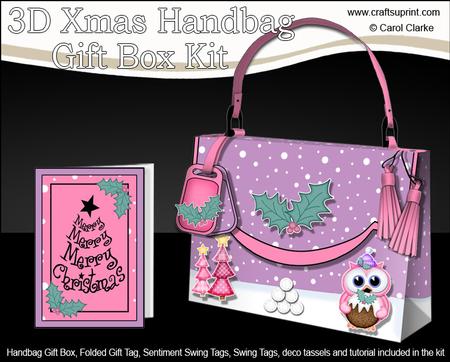 3D Little Hoot Owl Xmas Handbag Treat or Favour Box Kit