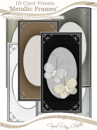 Dl 'silver Metallic Frame' Card Fronts Kit - Neutral Colours