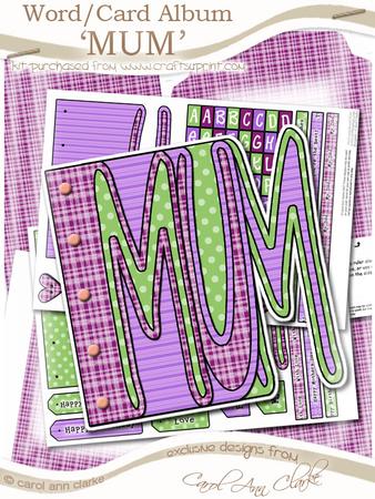 Mum Word Book Kit in Sorbet Raspberry