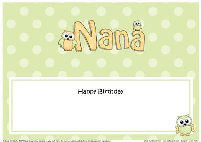 Birthday Nana Owls Matching Large Dl Insert