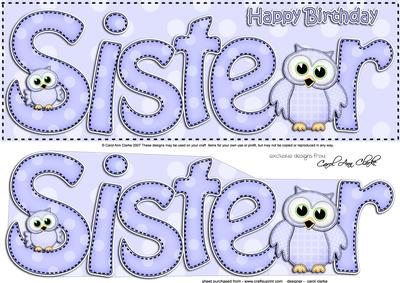 Large Dl Birthday Sister Owls Quick Card & 3D Decoupage