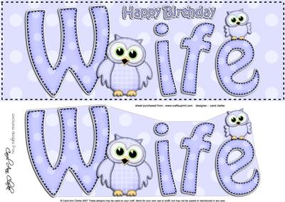 Large Dl Birthday Wife Owls Quick Card & 3D Decoupage