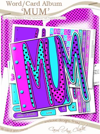 Mum Word Book Kit in Tooti Frooti Loganberry