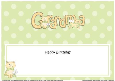 Birthday Grandma Cat Large Dl Matching Insert