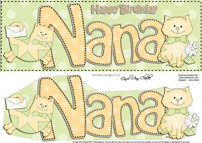 Large Dl Birthday Nana Cat Card & 3D Decoupage