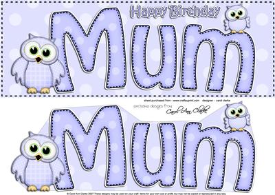 Large Dl Birthday Mum Owls Quick Card & 3D Decoupage