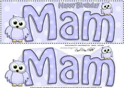 Large Dl Birthday Mam Owls Quick Card & 3D Decoupage