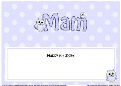 Birthday Mam Owls Large Dl Matching Insert