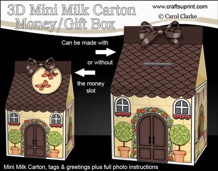3D Country Cottage Milk Carton Money or Treat Box