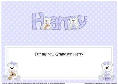Large Dl New Grandson Harry Teddies Matching Insert