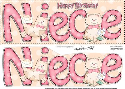 Large Dl Birthday Niece Cat Card & 3D Decoupage