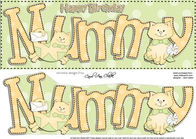 Large Dl Birthday Mummy Cat Card & 3D Decoupage