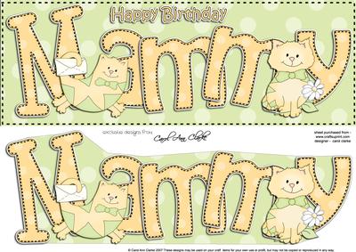 Large Dl Birthday Mammy Cat Card & 3D Decoupage