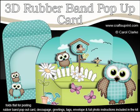 3D Owls Rubber Band Pop Up Scene Card