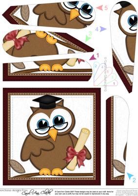Wise Owl Fan Pyramage Topper