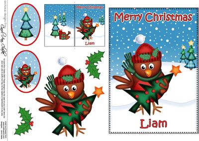 Xmas Liam Robin 5x7 3D Decoupage