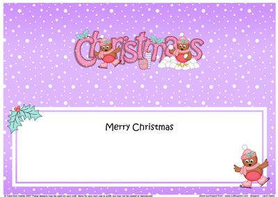 Xmas Christmas Cute Robins Matching Large Dl Insert