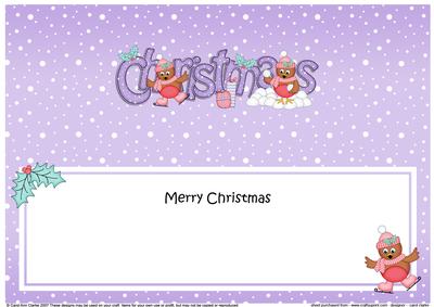 Xmas Christmas Cute Robins Matching Large Dl Insert