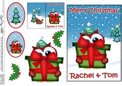Christmas Rachel & Tom Litle Hoot Owl 5x7 3D Decoupage