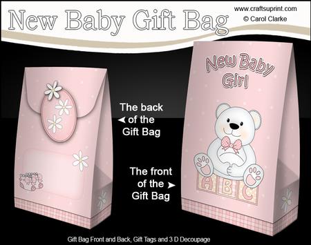 3D New Baby Girl Belle Teddy Bear Gift Bag Mini Kit