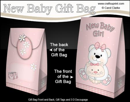 3D New Baby Girl Belle Teddy Bear Gift Bag Mini Kit