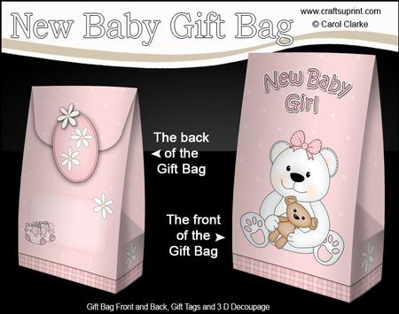 3D New Baby Girl Belle Teddy Bear Gift Bag Mini Kit