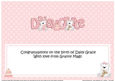 Large Dl New Baby Daisy Grace Teddies Matching Insert