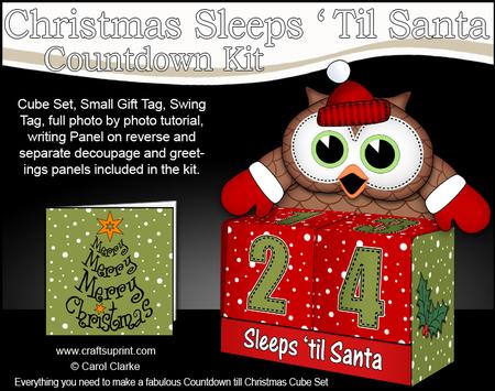 3D Hoot Owl Sleeps 'til Santa Countdown Cube Set 3D Decoupag