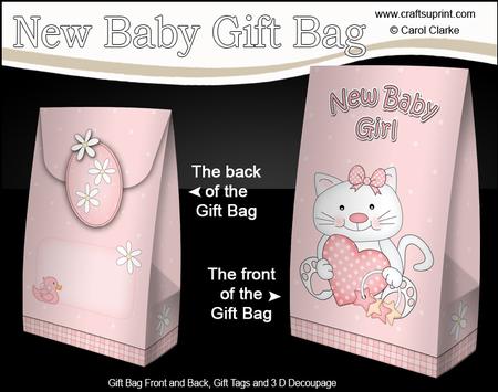 3D New Baby Girl Little Kitty Cat Gift Bag Mini Kit