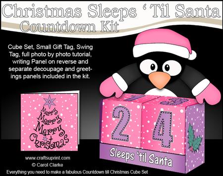 3D Penguin Sleeps 'til Santa Countdown Cube Set 3D Decoupage