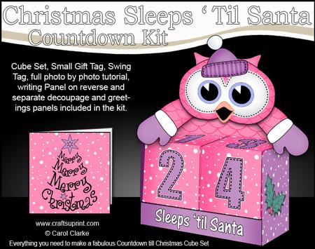 3D Hoot Owl Sleeps 'til Santa Countdown Cube Set 3D Decoupag