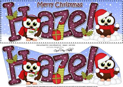 Large Dl Xmas Hazel Hoot Owls & 3D Decoupage