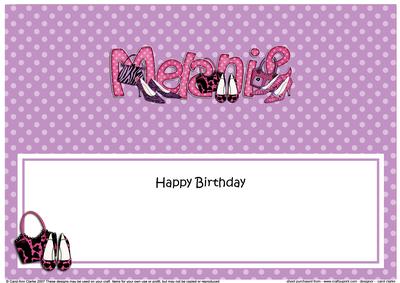 Large Dl Birthday Melanie Shoes & Handbags Matching Insert
