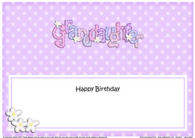 Large Dl Birthday Granddaughter Dots & Flowers Insert