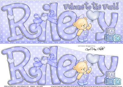 Large Dl Welcome to the World Riley Quick Card 3D Decoupage
